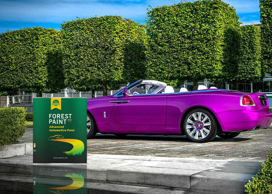 2K High Solids Gloss Car Paint Purple Red Car Scratch Repair Paint Anti Rust
